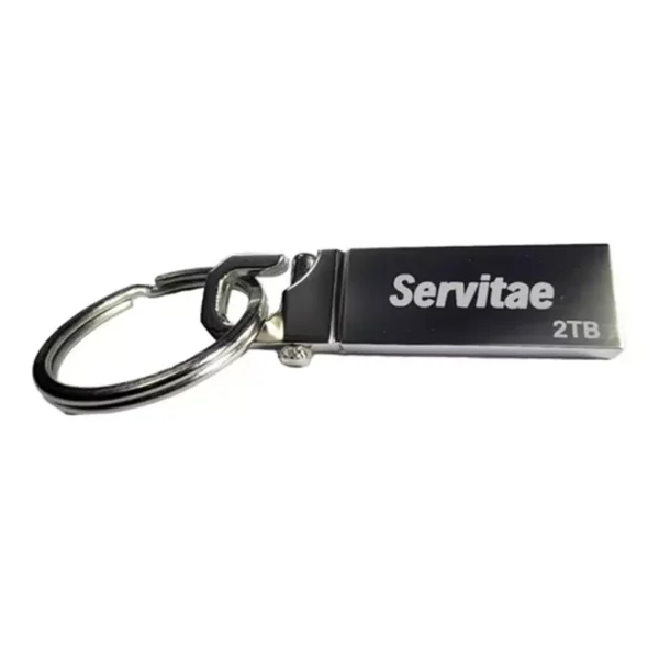 Memoria usb 2tb servitae