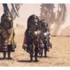 Xenoblade Chronicles X Definitive Edition Nintendo Switch Físico