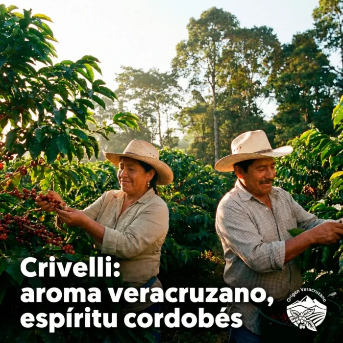 Café molido Crivelli Cordoba ecológico de exportación en empaque de 454 gramos, ideal para preparar café de calidad